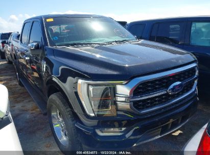 Lot #2992825225 2022 FORD F-150 PLATINUM