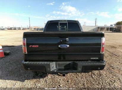 Lot #2957626967 2013 FORD F-150 FX4