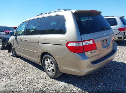 Lot #3005349918 2007 HONDA ODYSSEY EX-L