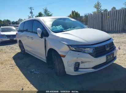 Lot #2992825161 2024 HONDA ODYSSEY ELITE