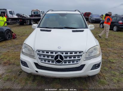 Lot #2989127300 2009 MERCEDES-BENZ ML 350