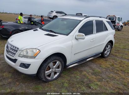 Lot #2989127300 2009 MERCEDES-BENZ ML 350