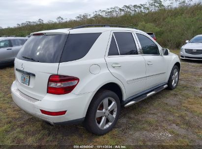 Lot #2989127300 2009 MERCEDES-BENZ ML 350