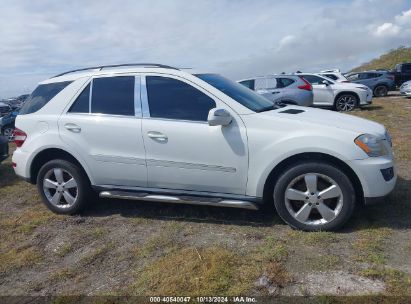 Lot #2989127300 2009 MERCEDES-BENZ ML 350