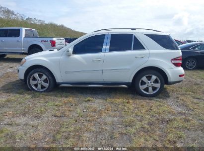 Lot #2989127300 2009 MERCEDES-BENZ ML 350