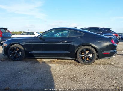 Lot #2989127351 2021 FORD MUSTANG ECOBOOST