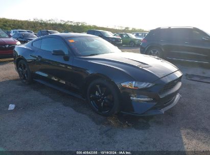 Lot #2989127351 2021 FORD MUSTANG ECOBOOST