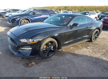 Lot #2989127351 2021 FORD MUSTANG ECOBOOST