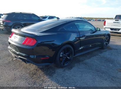 Lot #2989127351 2021 FORD MUSTANG ECOBOOST