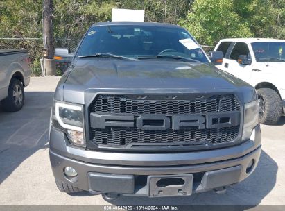 Lot #2995288923 2010 FORD F-150 FX4/HARLEY-DAVIDSON/KING RANCH/LARIAT/PLATINUM/XL/XLT