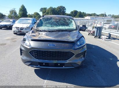 Lot #2989127345 2020 FORD ESCAPE SE