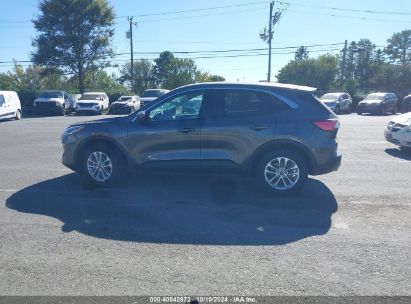 Lot #2989127345 2020 FORD ESCAPE SE