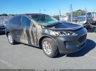 Lot #2989127345 2020 FORD ESCAPE SE