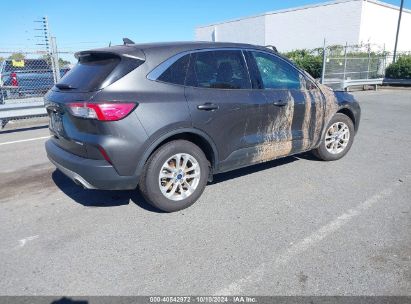 Lot #2989127345 2020 FORD ESCAPE SE