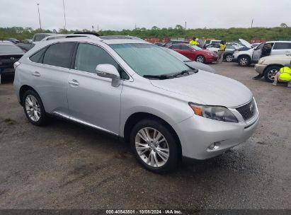 Lot #2992824737 2010 LEXUS RX 450H