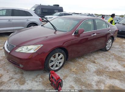 Lot #2992824630 2008 LEXUS ES 350