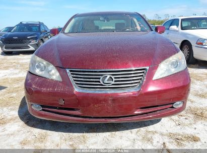 Lot #2992824630 2008 LEXUS ES 350