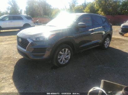 Lot #2996533886 2019 HYUNDAI TUCSON SE