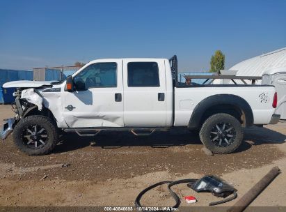 Lot #3050075622 2014 FORD F-250 XLT