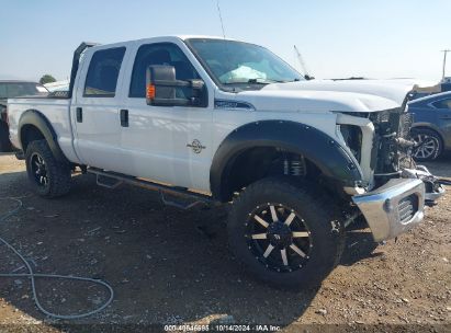 Lot #3050075622 2014 FORD F-250 XLT