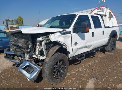 Lot #3050075622 2014 FORD F-250 XLT