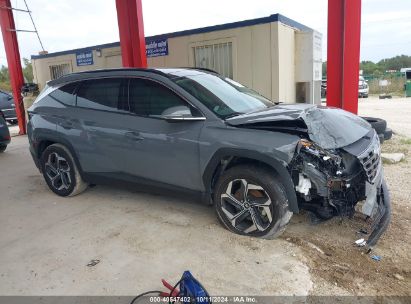 Lot #2995299847 2024 HYUNDAI TUCSON LIMITED