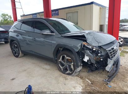 Lot #2995299847 2024 HYUNDAI TUCSON LIMITED