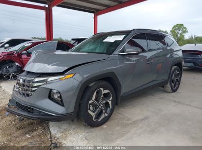 Lot #2995299847 2024 HYUNDAI TUCSON LIMITED