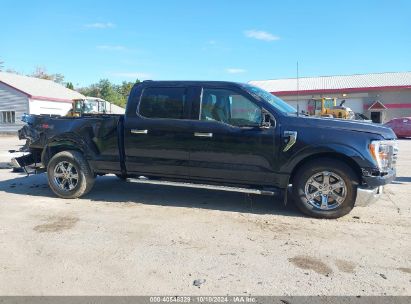 Lot #3035707702 2023 FORD F-150 XLT