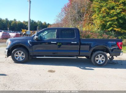 Lot #3035707702 2023 FORD F-150 XLT