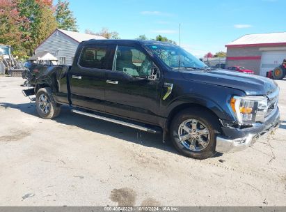 Lot #3035707702 2023 FORD F-150 XLT