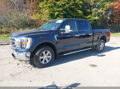 Lot #3035707702 2023 FORD F-150 XLT