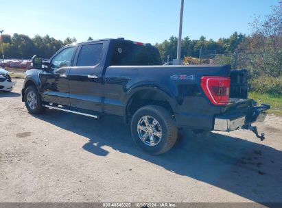 Lot #3035707702 2023 FORD F-150 XLT