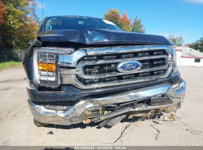 Lot #3035707702 2023 FORD F-150 XLT