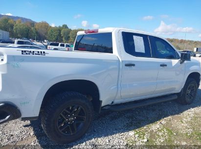 Lot #2992833795 2024 CHEVROLET SILVERADO 1500 4WD  SHORT BED CUSTOM TRAIL BOSS