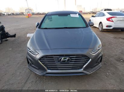 Lot #3035076704 2019 HYUNDAI SONATA SE