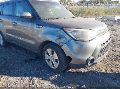 Lot #3035076699 2016 KIA SOUL