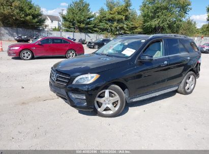 Lot #3042571267 2014 MERCEDES-BENZ ML 550 4MATIC