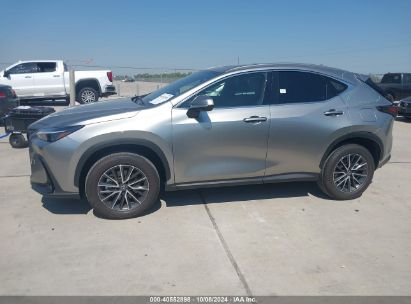 Lot #2992819652 2024 LEXUS NX 250 PREMIUM