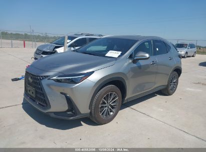 Lot #2992819652 2024 LEXUS NX 250 PREMIUM