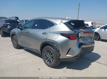 Lot #2992819652 2024 LEXUS NX 250 PREMIUM