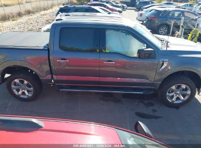 Lot #3035089386 2023 FORD F-150 XLT