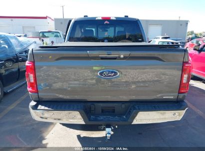 Lot #3035089386 2023 FORD F-150 XLT