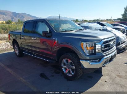 Lot #3035089386 2023 FORD F-150 XLT