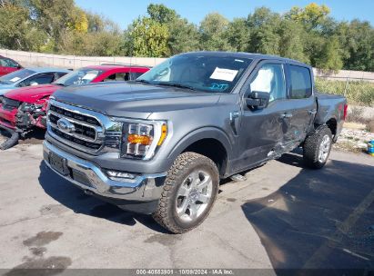 Lot #3035089386 2023 FORD F-150 XLT