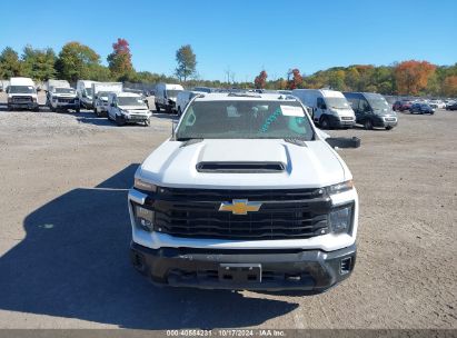 Lot #2995299916 2024 CHEVROLET SILVERADO 2500HD 4WD  LONG BED WORK TRUCK