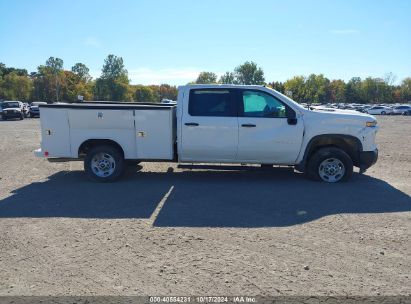 Lot #2995299916 2024 CHEVROLET SILVERADO 2500HD 4WD  LONG BED WORK TRUCK