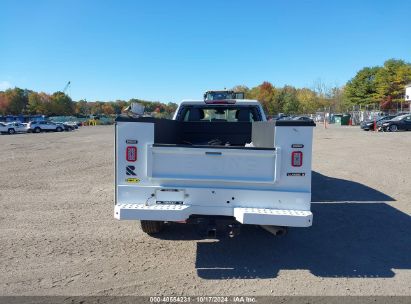 Lot #2995299916 2024 CHEVROLET SILVERADO 2500HD 4WD  LONG BED WORK TRUCK