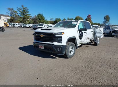 Lot #2995299916 2024 CHEVROLET SILVERADO 2500HD 4WD  LONG BED WORK TRUCK