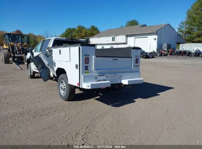 Lot #2995299916 2024 CHEVROLET SILVERADO 2500HD 4WD  LONG BED WORK TRUCK